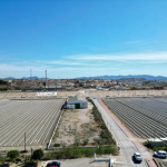 dji fly 20240317 111858 102 1710784693665 photo