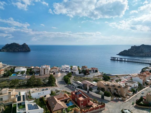 dji fly 20251212 172824 947 1765546712363 photo